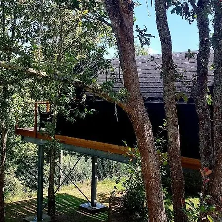 Paradise Glamping